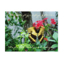 Flying Butterfly Postcard / Quote