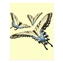 Flying Butterlies Postcards