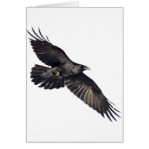 Flying Crow Cards
