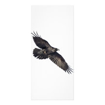 Flying Crow Custom Rack Card