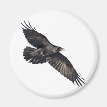 Flying Crow Magnets