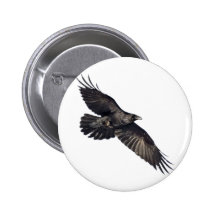 Flying Crow Pin