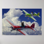 Flying dogs 4