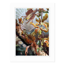 Flying Dragon Postcards