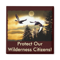 FLYING DUCKS MAGNET