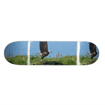 Flying Eagle Skateboard