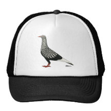 Flying Flight Teager Hat
