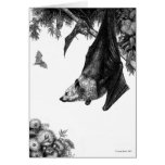 Flying Foxes Cards