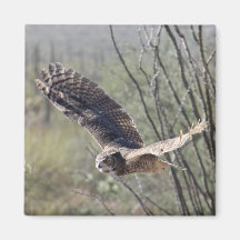 Flying Great Horned Owl Magnets