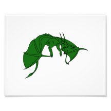 flying green dragon outline.png photo art