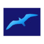 Flying Gull Postcard