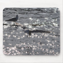Flying Gull & River Sunlight 2 Photo Mousepad