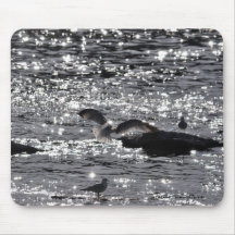 Flying Gull & River Sunlight Photo Mousepad