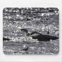Flying Gull & River Sunlight Photo Mousepad