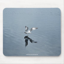 Flying Gull Walks on Water Photo Mousepad