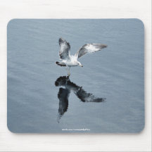 Flying Gull Walks on Water Photo Mousepad