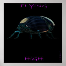 FLYING HIGH PRINT
