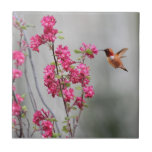 Flying Hummingbird and Flowers Ceramic Tiles