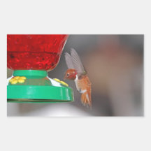 Flying Hummingbird and Hummingbird Feeder Rectangular Sticker