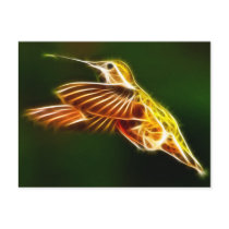 Flying Hummingbird Post Card