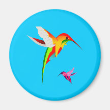 Flying Hummingbirds Fridge Magnet