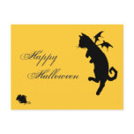 Flying kitty postcards