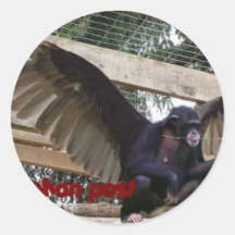 flying monkey wear stickers