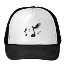 Flying Notes Hat