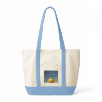 Flying on top of the world! xlta canvas bag