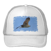 Flying Osprey Baseball Hat