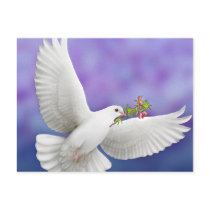 Flying Peace Dove Card Postcard
