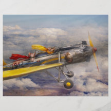 Flying Pig - Plane -The joy ride Flyer Design