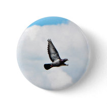 Flying Pigeon On Sky Buttons