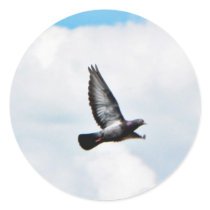 Flying Pigeon On Sky Round Sticker
