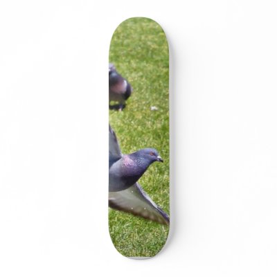 Flying Pigeon Skateboards by lifesphere