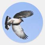 Flying Pigeon Sticker