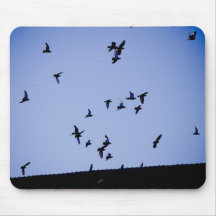 Flying pigeons mouse pad
