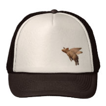 flying pork gorros bordados