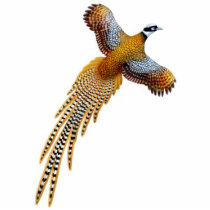 Flying Reeves Pheasant Ornament