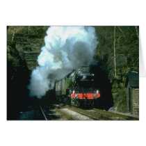 Flying Scotsman caught between tunnels at Barons W Cards