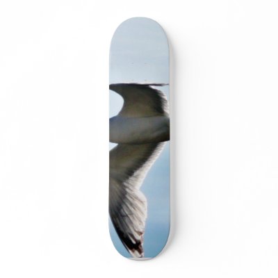 Flying Seagull Close Up Skate Decks by lifesphere
