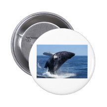 Flying Whale Pinback Buttons