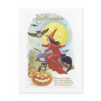 Flying Witch, Bats, Cat, Owl Moon Post Card