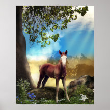 Foal Horse in Paradise Posters