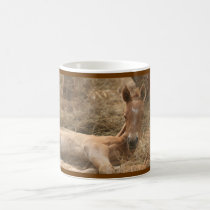 Foal Horse Mug mugs
