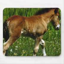 Foal Mouse Pad