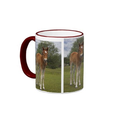 Foal Mug by Marmotta