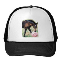 Foal with Pink Hat