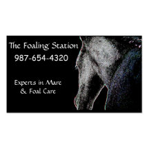 Foaling Business Cards