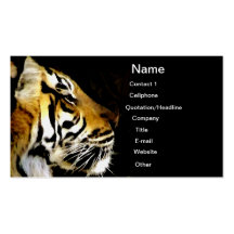Focused_ Business Card Template
